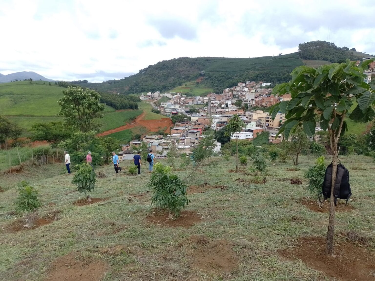 ONG lança campanha Plantei uma Árvore na RPPN Irmã Sheila Cidade Total