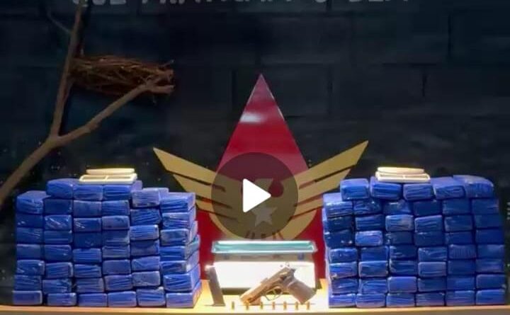 PM apreende 92 barras de maconha no distrito de Vila Nova