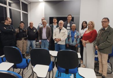 CONSEP decide comemorar aniversário da faixa de pedestres