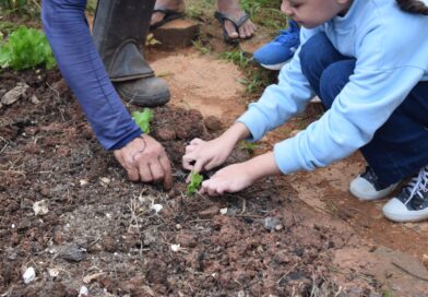 Horta dos Sabores recebe estudantes e reforça educação ambiental no Hospital Metropolitano Vale do Aço Horta dos Sabores recebe estudantes e reforça educação ambiental no Hospital Metropolitano Vale do Aço
